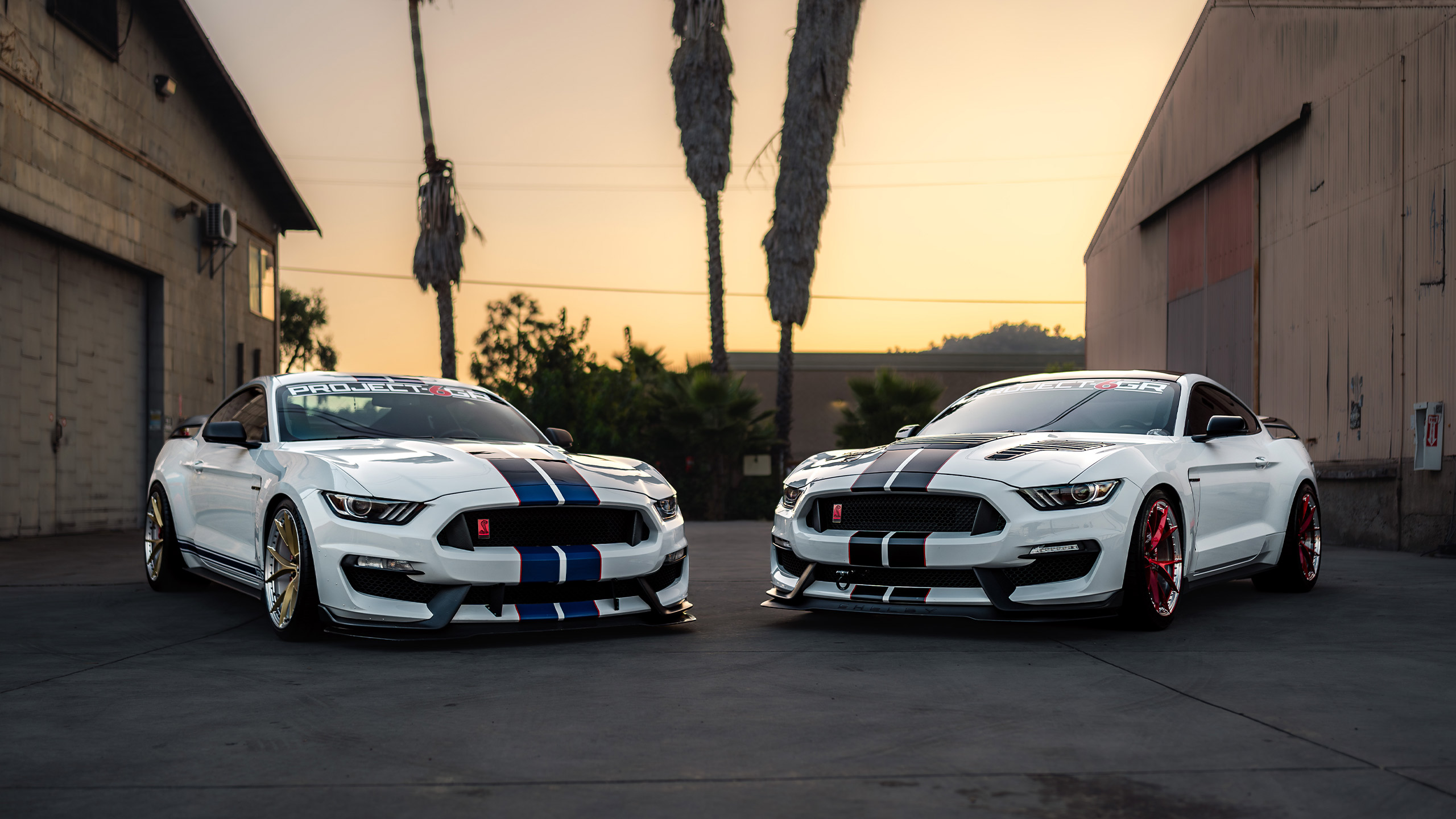 double gt350r during sunset