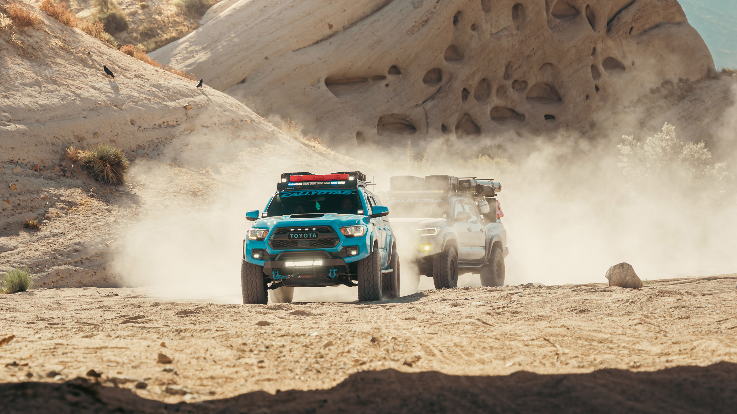 two toyota tacoma's desert running