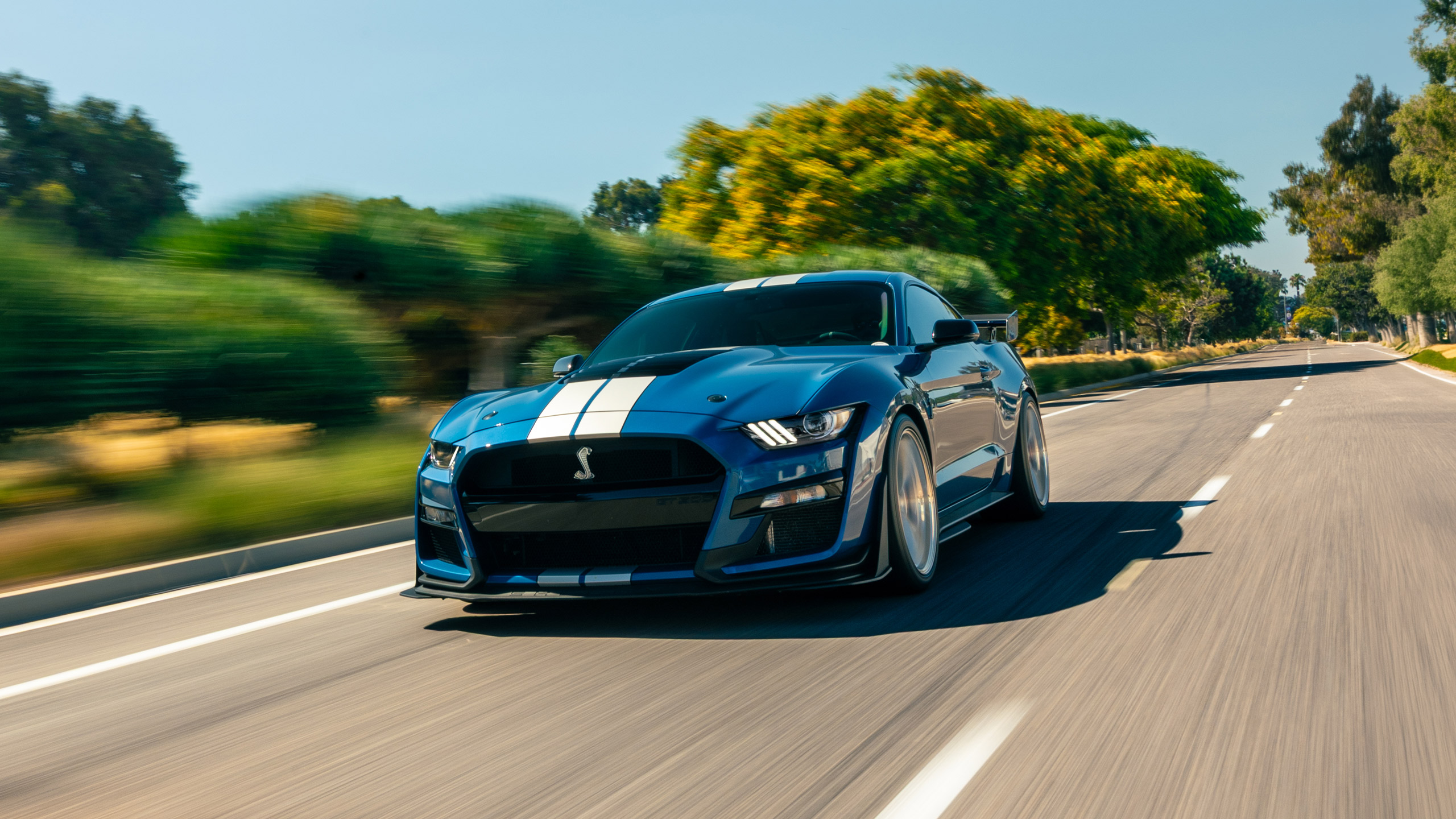 blue s550 mustang gt350r driving on open tree lined road