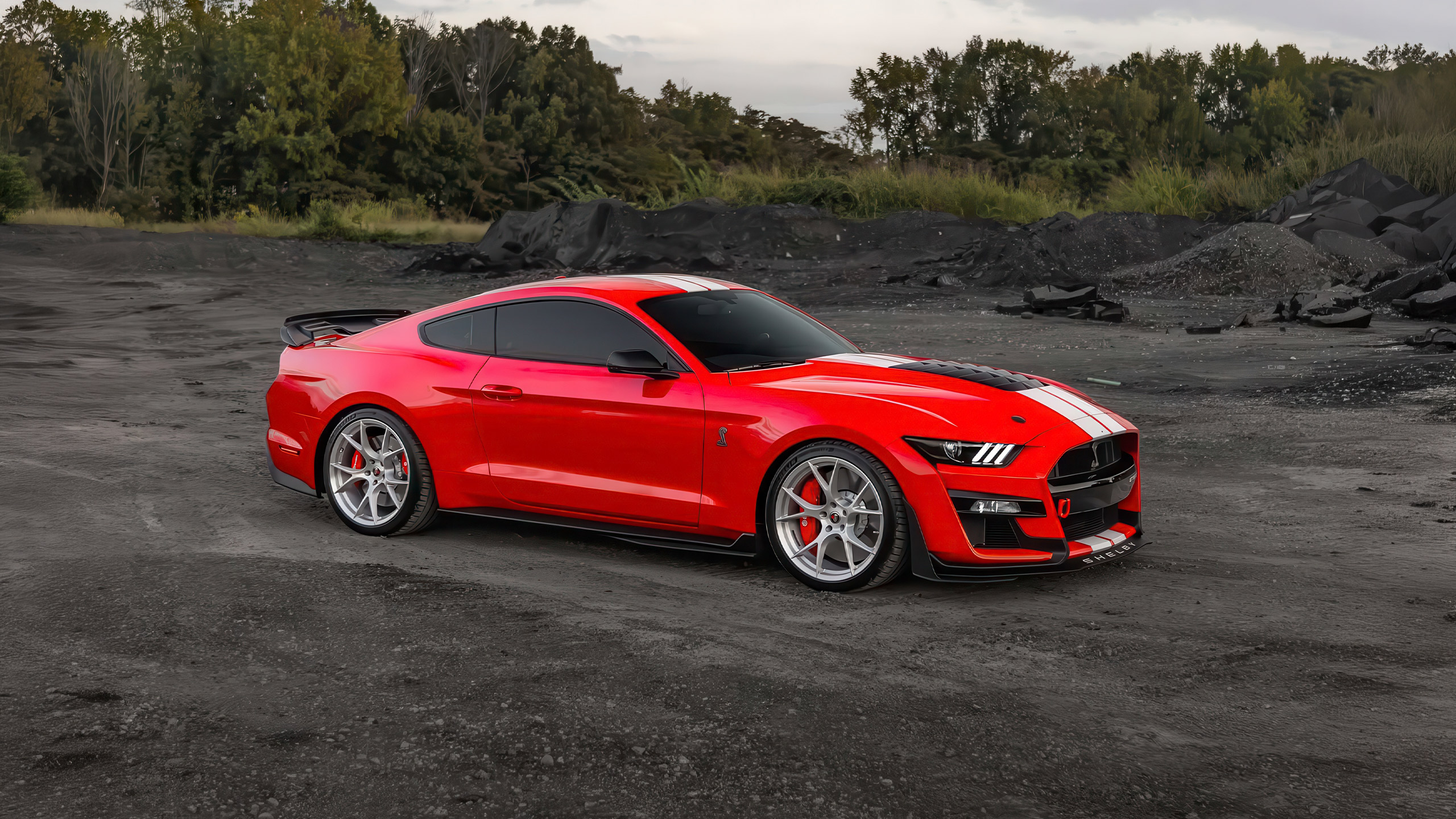 race red shelby gt500
